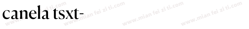 canela tsxt字体转换